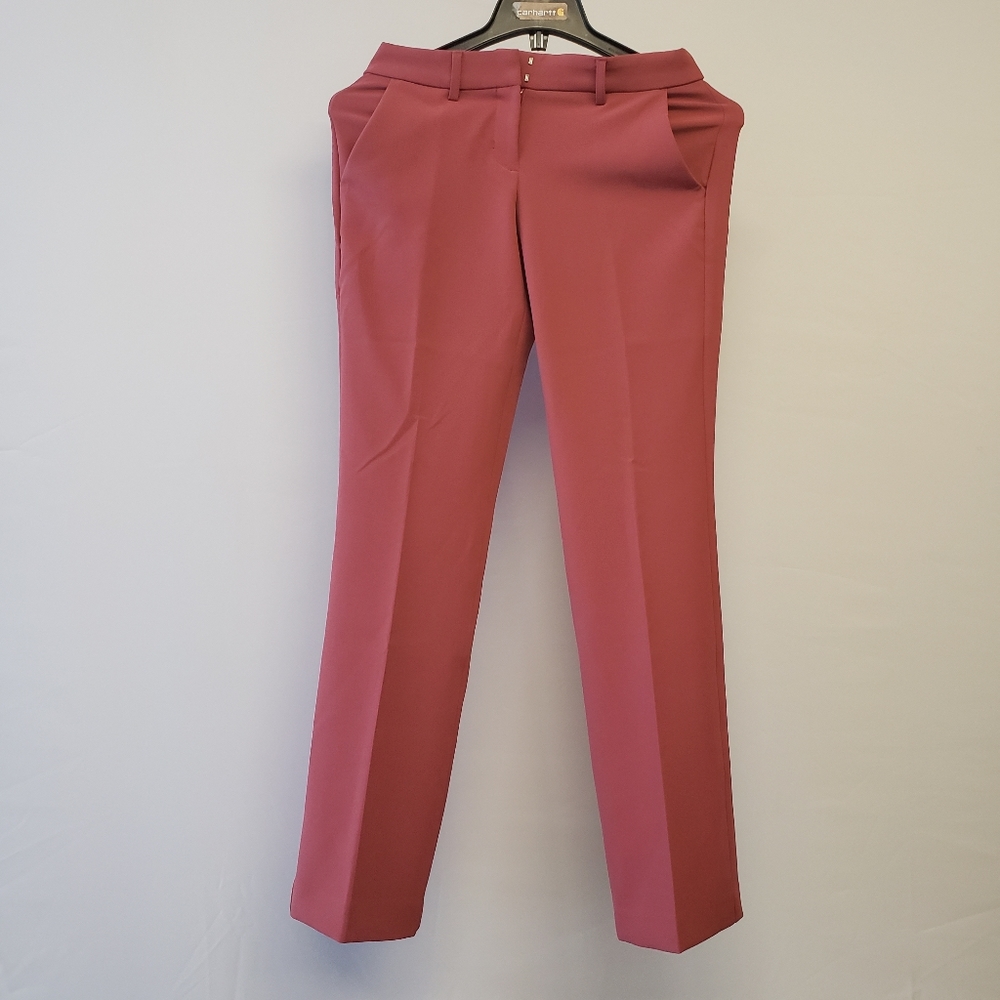 Express editor size 2R suit pant